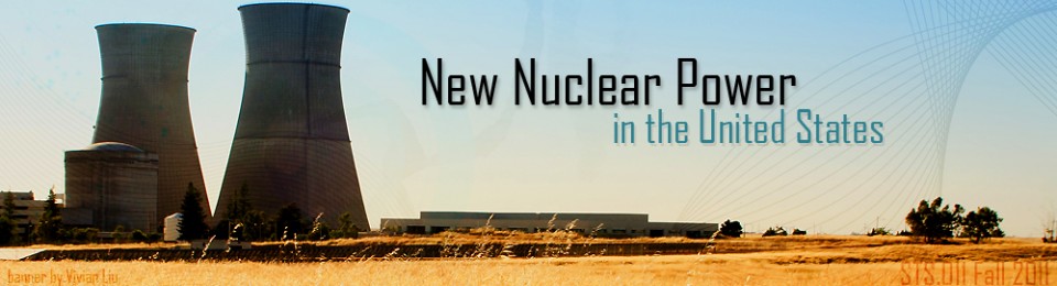 New Nuclear Energy